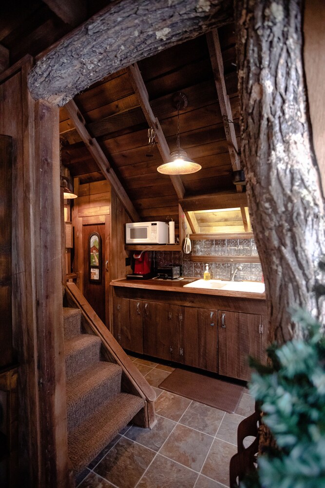 Charming Cattail Cabin Nestled in the Mountains