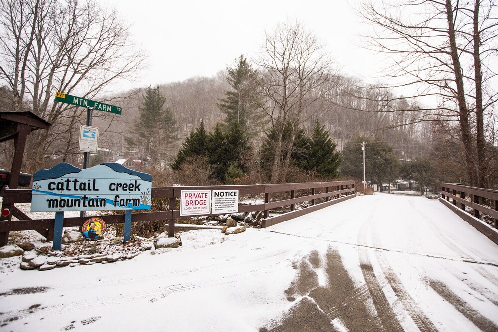 Charming Cattail Cabin Nestled in the Mountains