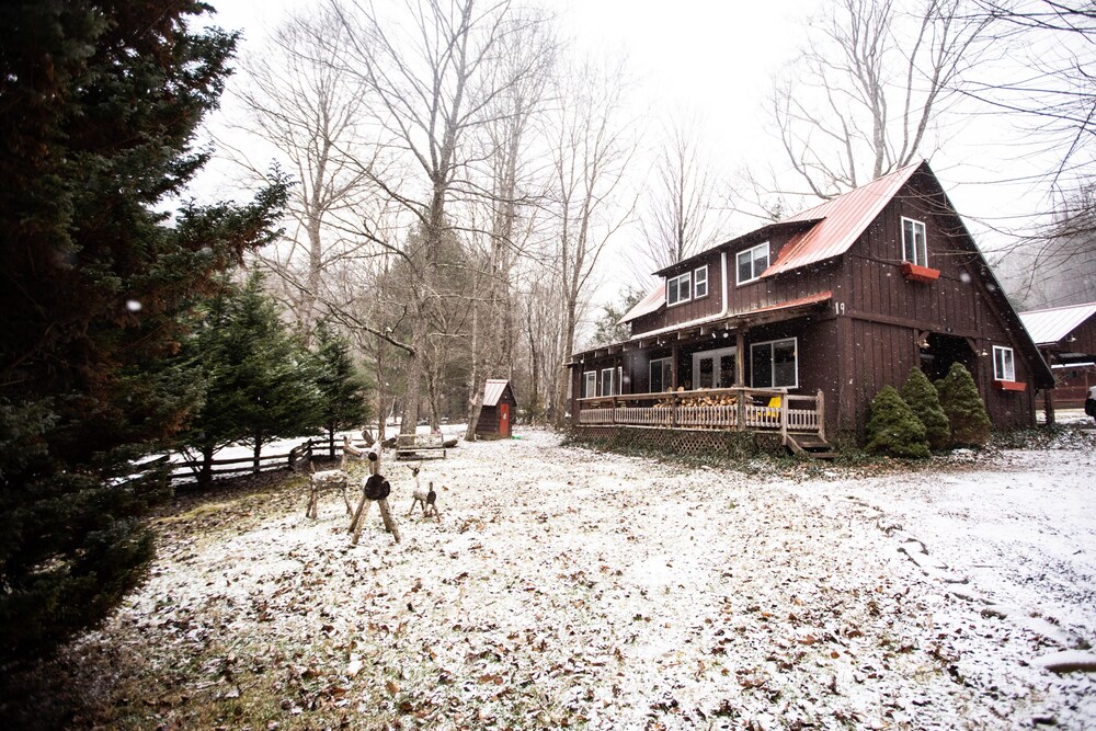Charming Cattail Cabin Nestled in the Mountains