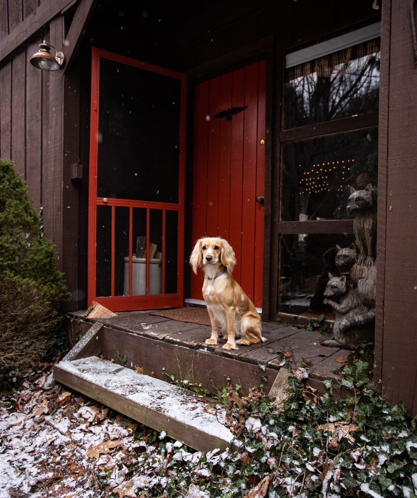 Charming Cattail Cabin Nestled in the Mountains