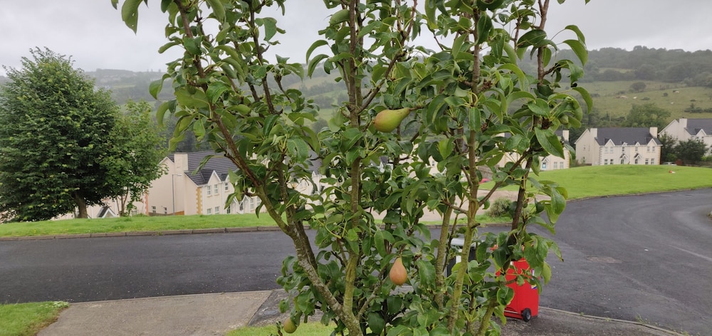 Lovely 4bed With Free Wi-f and Netflix in Ireland