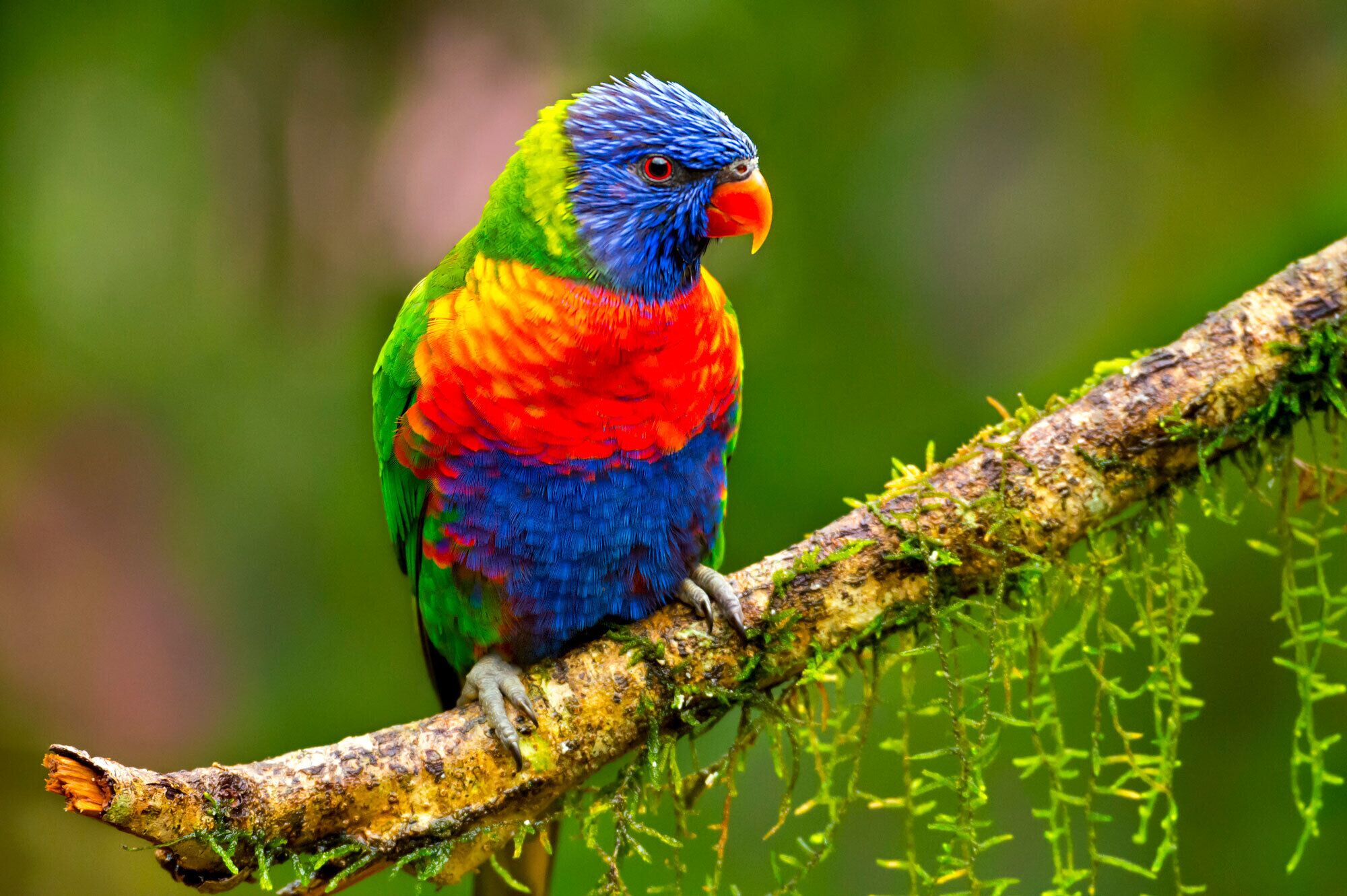 Lombok On Waterfall Retreat Studio