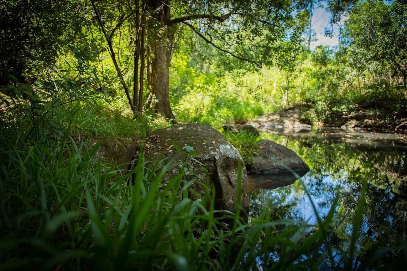 The Barn Lux Cabin @ Byrangery Waters