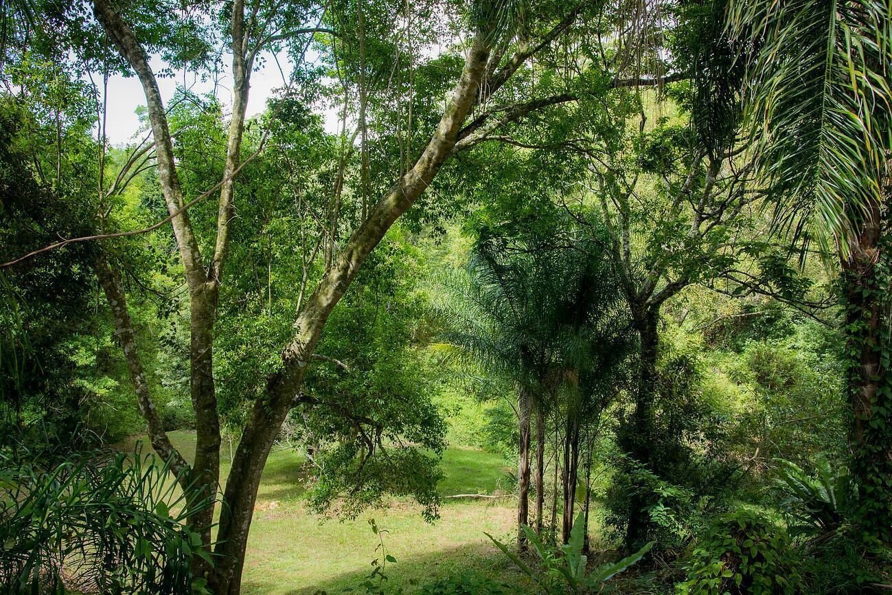 The Barn Lux Cabin @ Byrangery Waters
