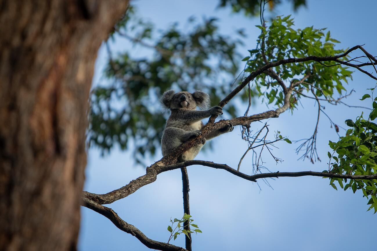 The Barn Lux Cabin @ Byrangery Waters
