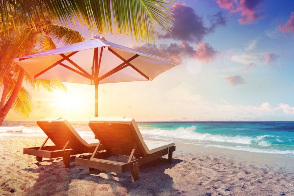 Experience the TINY HOUSE