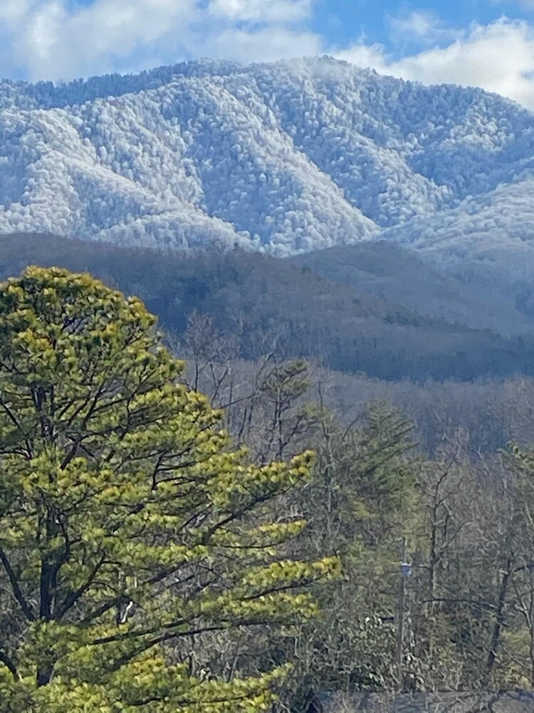 The Silver Lining Of Your Vacation - Spectacular View of Nation Forest!!