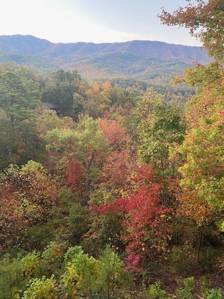 The Silver Lining Of Your Vacation - Spectacular View of Nation Forest!!