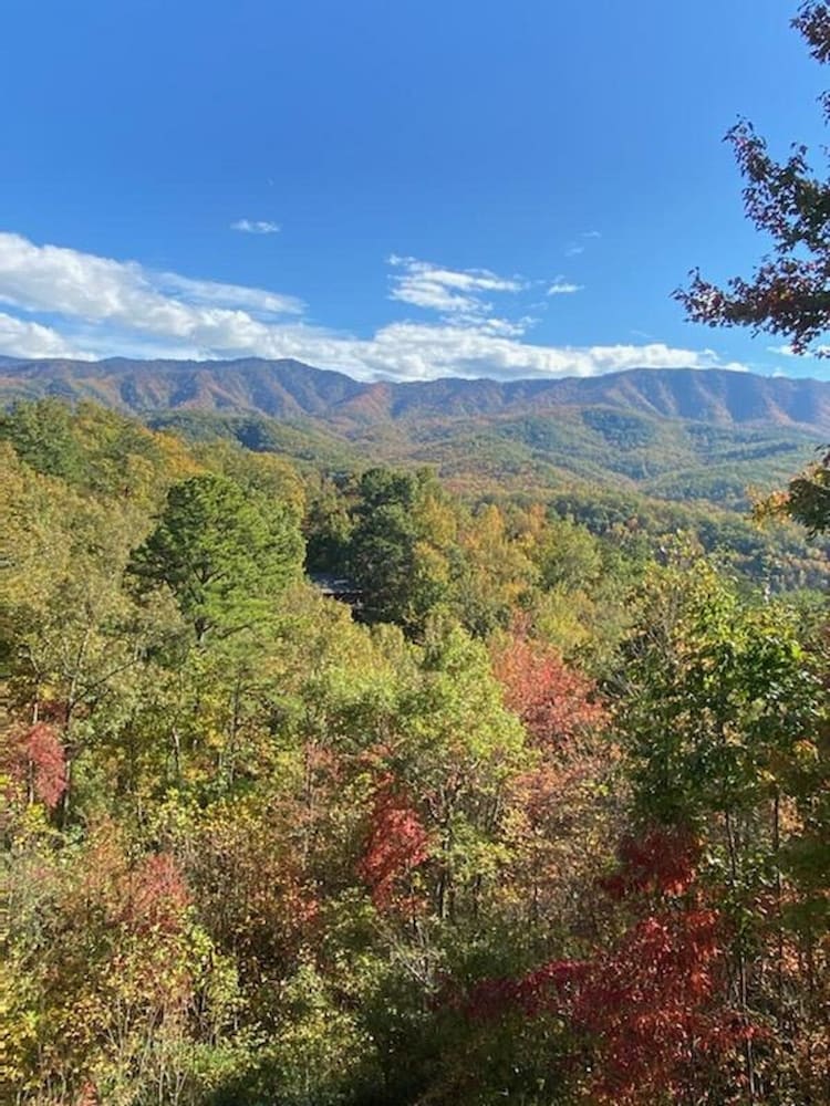 The Silver Lining Of Your Vacation - Spectacular View of Nation Forest!!