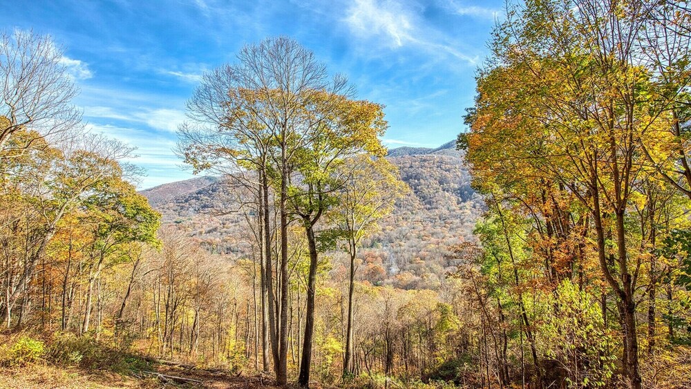 Linda's Haven is a gorgeous log home, sleeps 8, WiFi, Roku, central heat/AC, hot tub mountain vie...