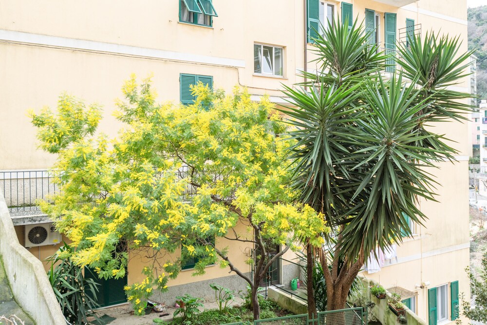 Borgoratti Comfortable Apartment