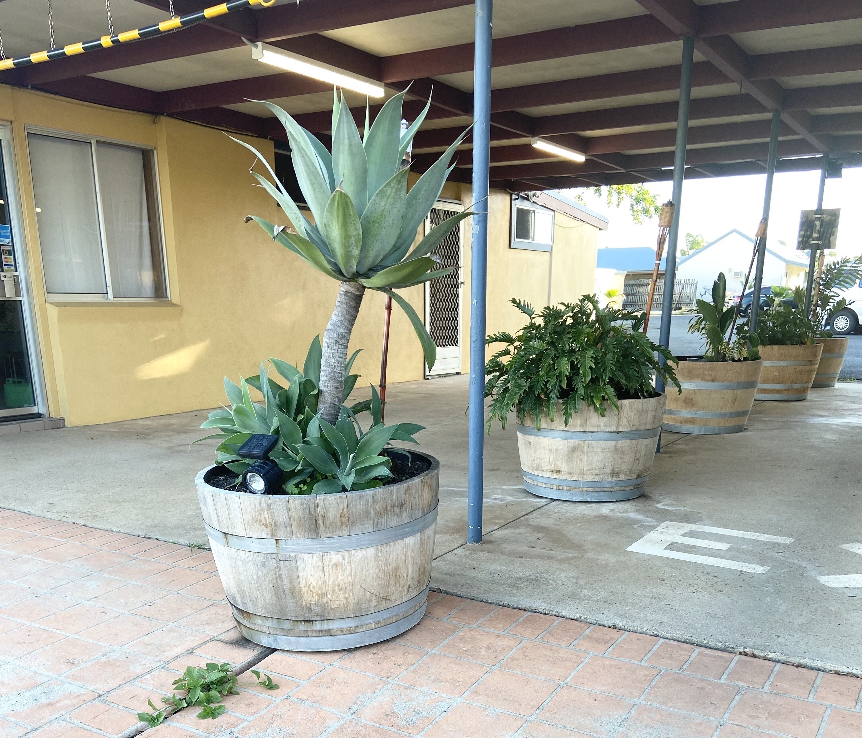 Proserpine Motor Lodge