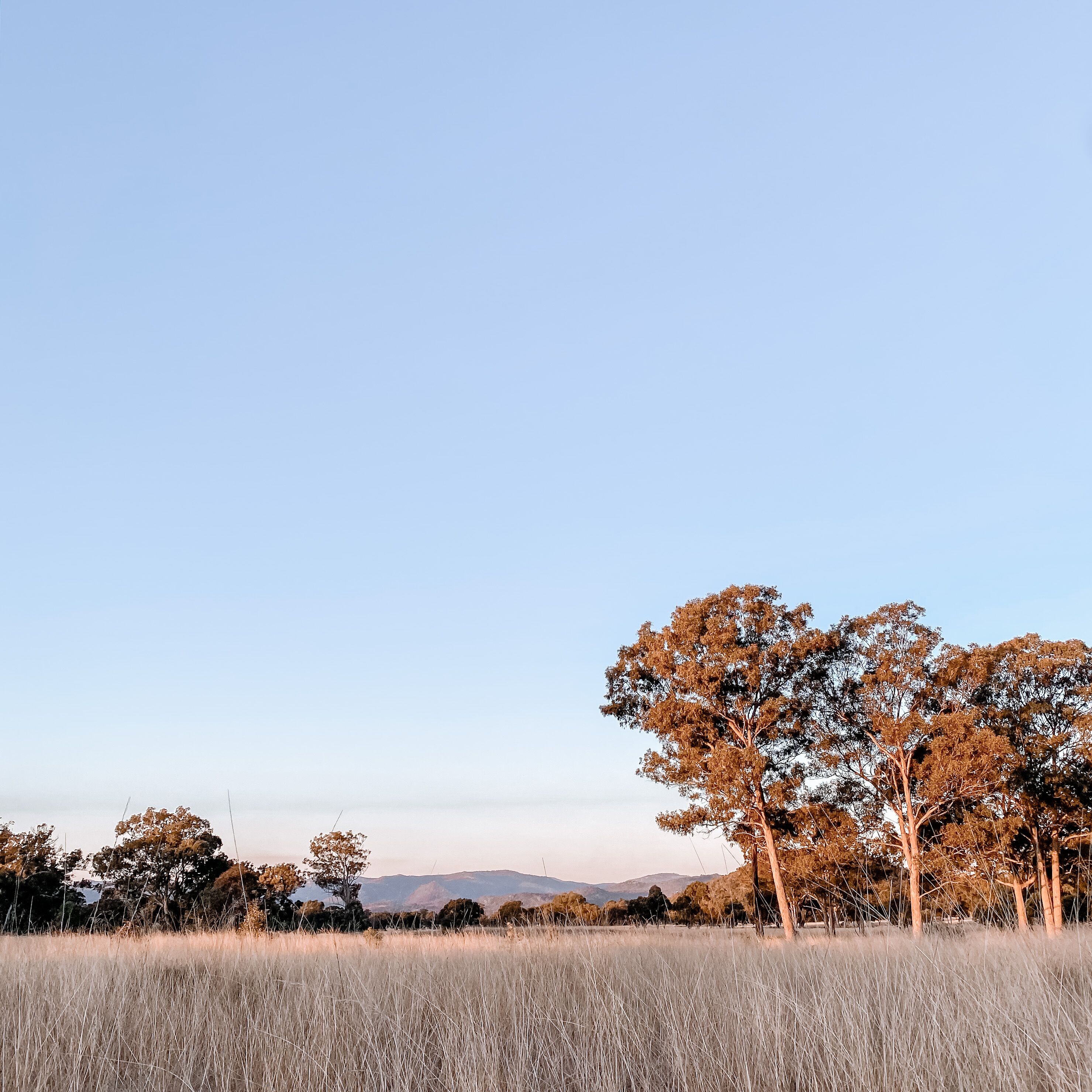 Earthly Brewing Co - The Realm -glamping Bell Tent