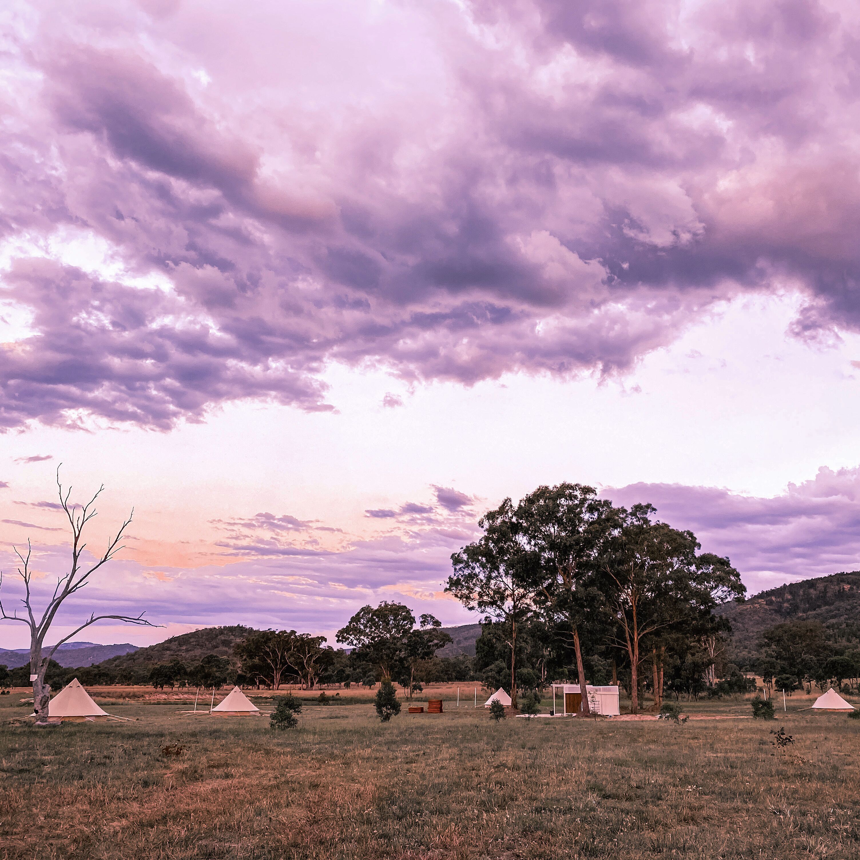 Earthly Brewing Co - The Realm -glamping Bell Tent