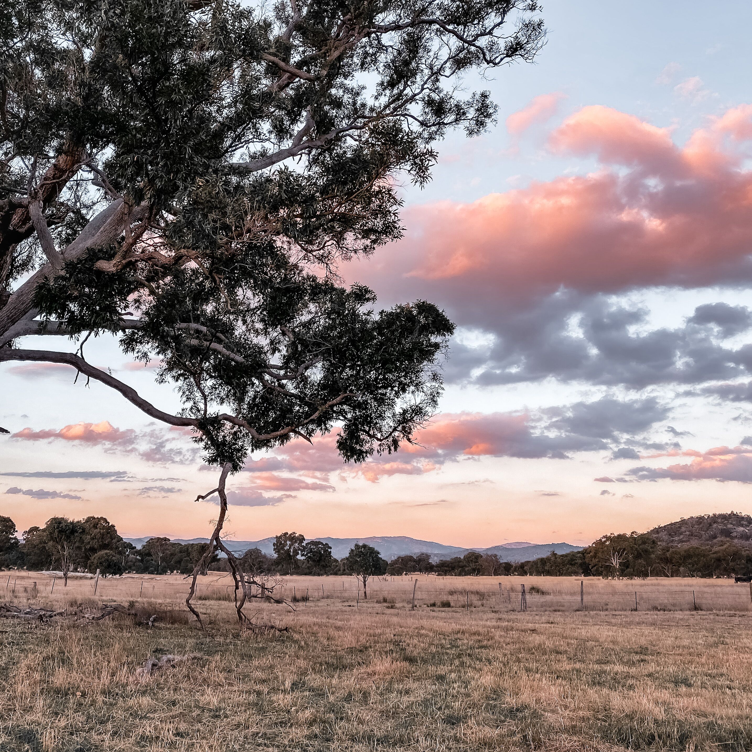 Earthly Brewing Co - The Realm -glamping Bell Tent