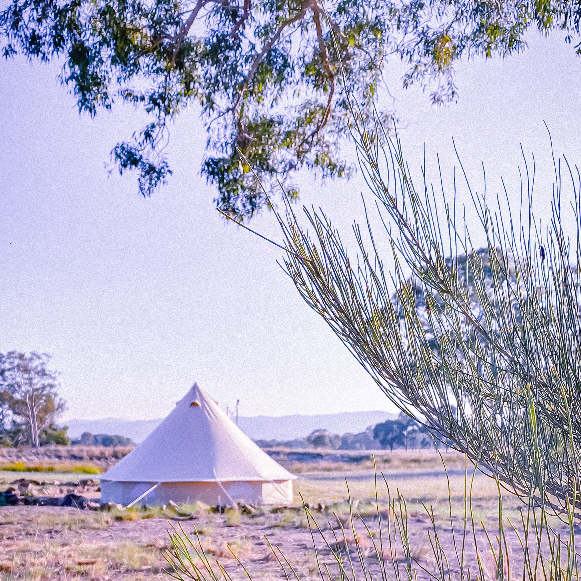 Earthly Brewing Co - The Realm -glamping Bell Tent