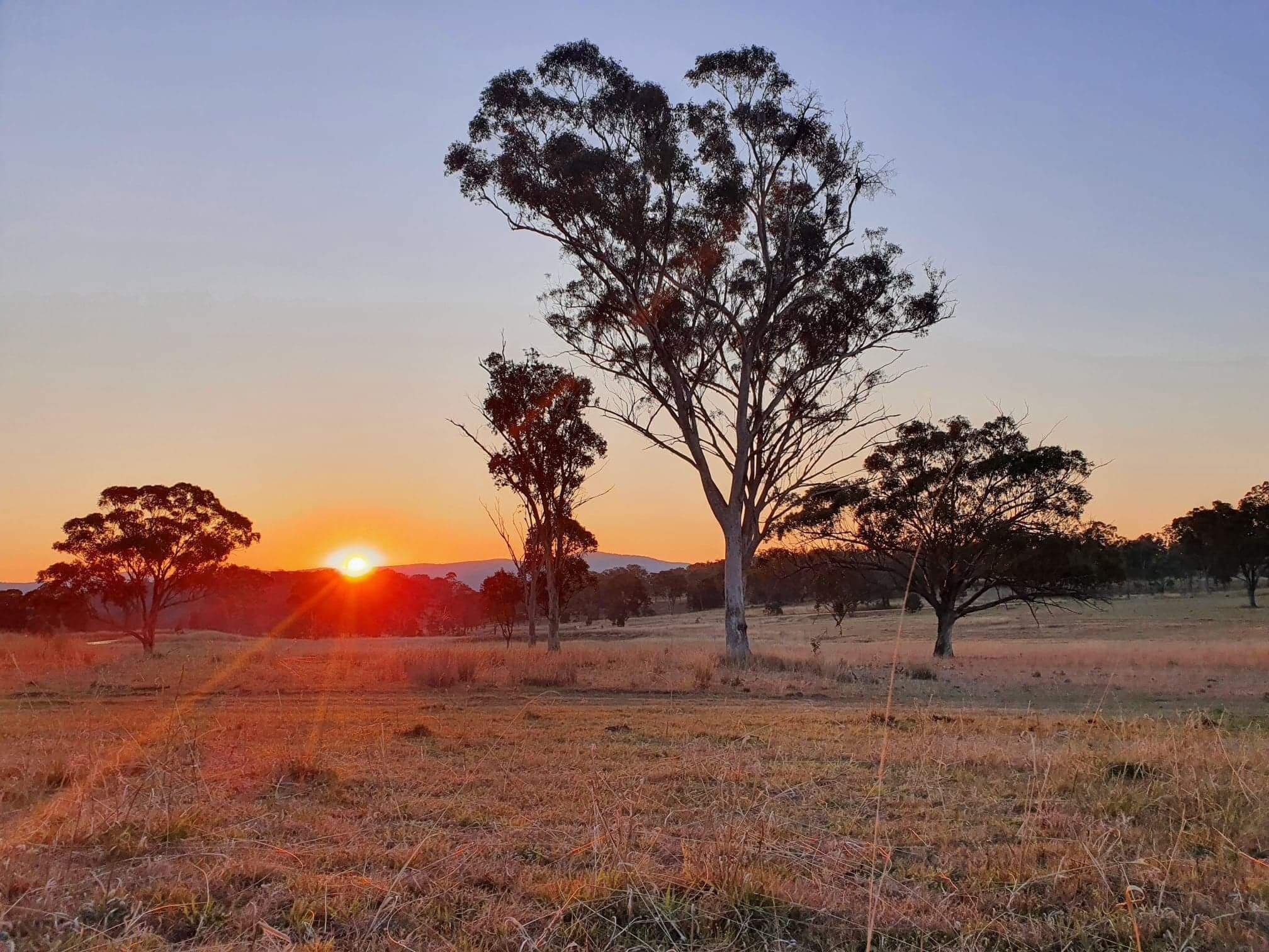 Earthly Brewing Co - The Realm -glamping Bell Tent