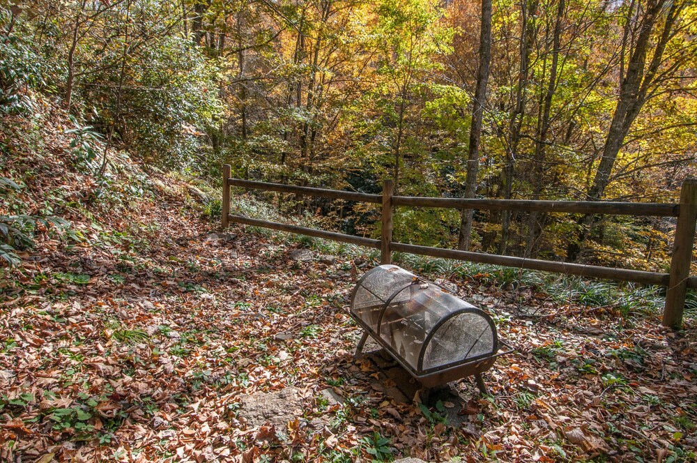 3 BR 2 1/2 BA Log Home with Creekside View, Hot Tub, Game Room  & Fire Pit!