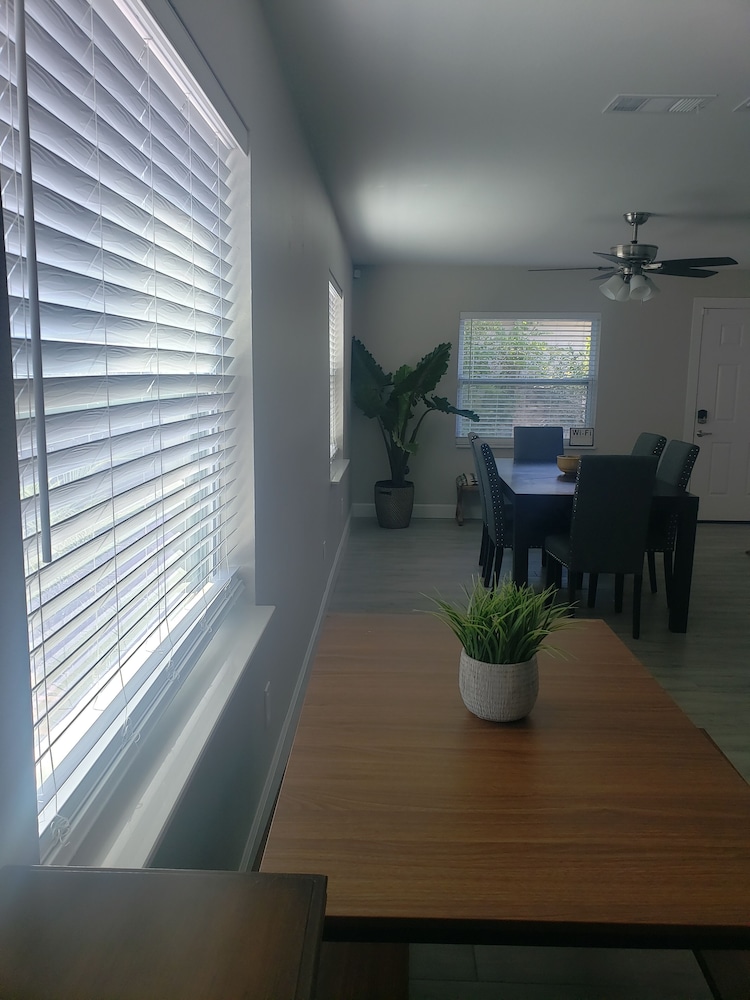 North Hyde Park Haven in the Heart of Tampa** Newly Renovated in NoHo**