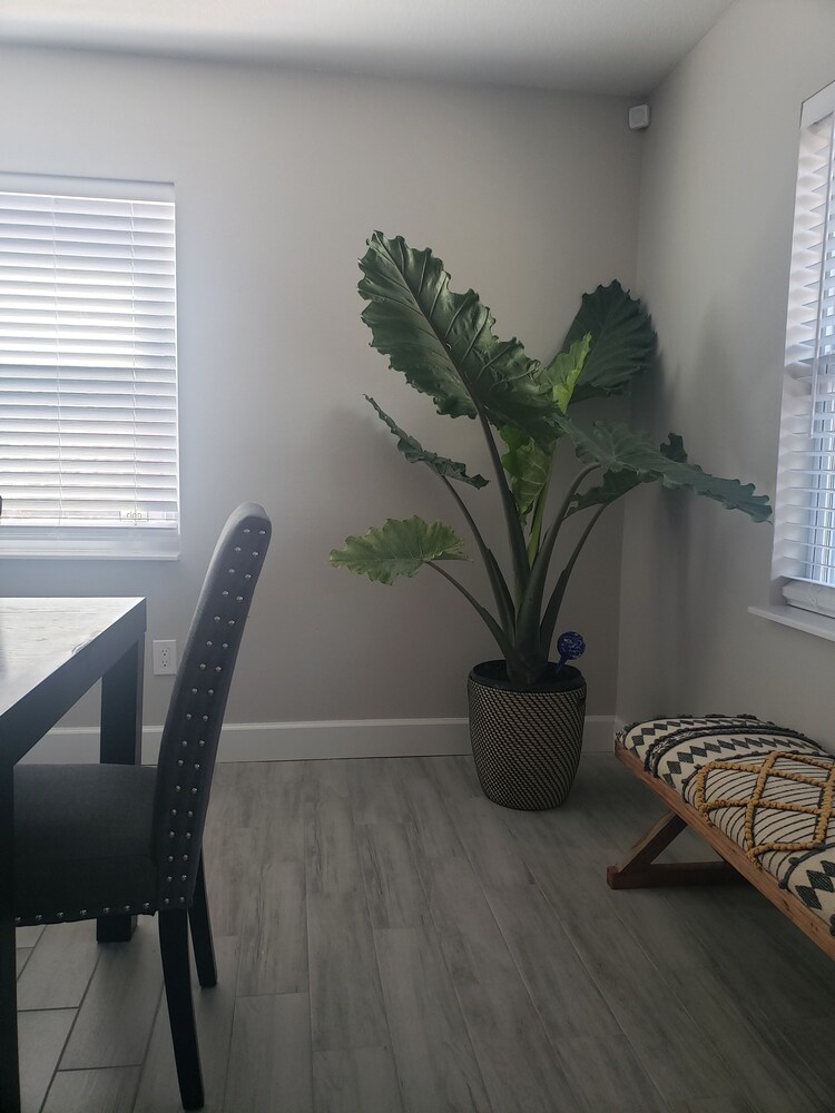 North Hyde Park Haven in the Heart of Tampa** Newly Renovated in NoHo**