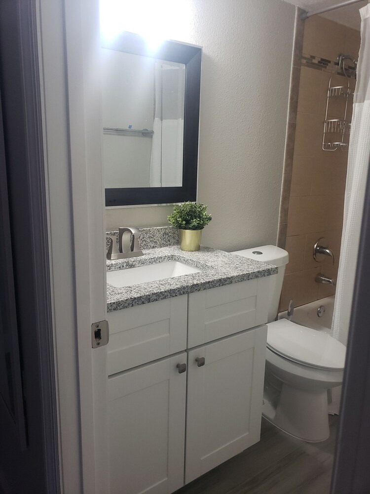 North Hyde Park Haven in the Heart of Tampa** Newly Renovated in NoHo**