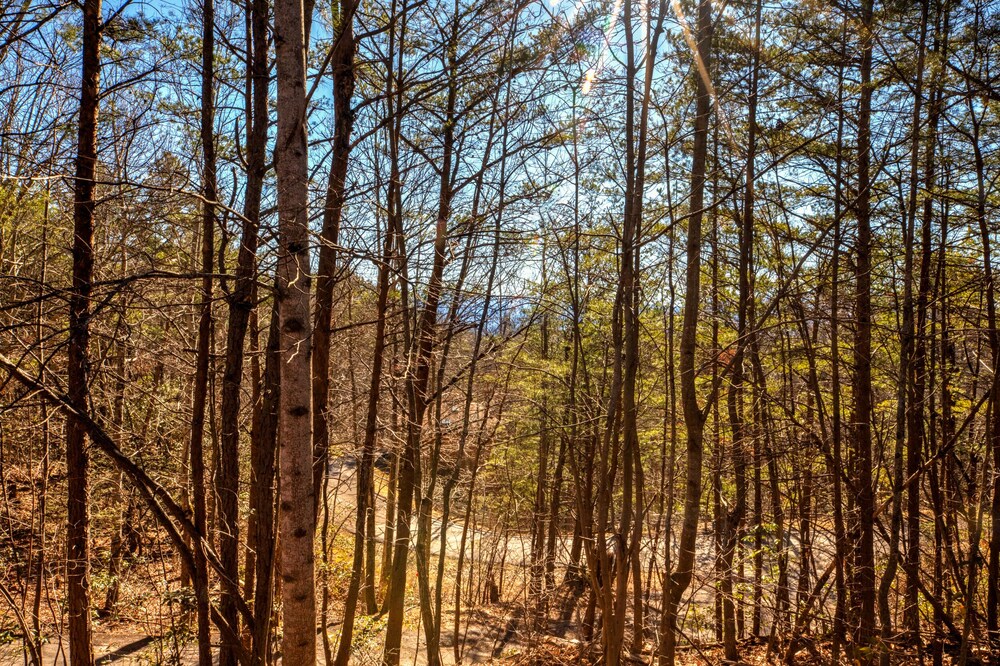 Black Bear Bungalow - Seclusion in heart of Smokys