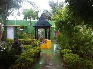View from property