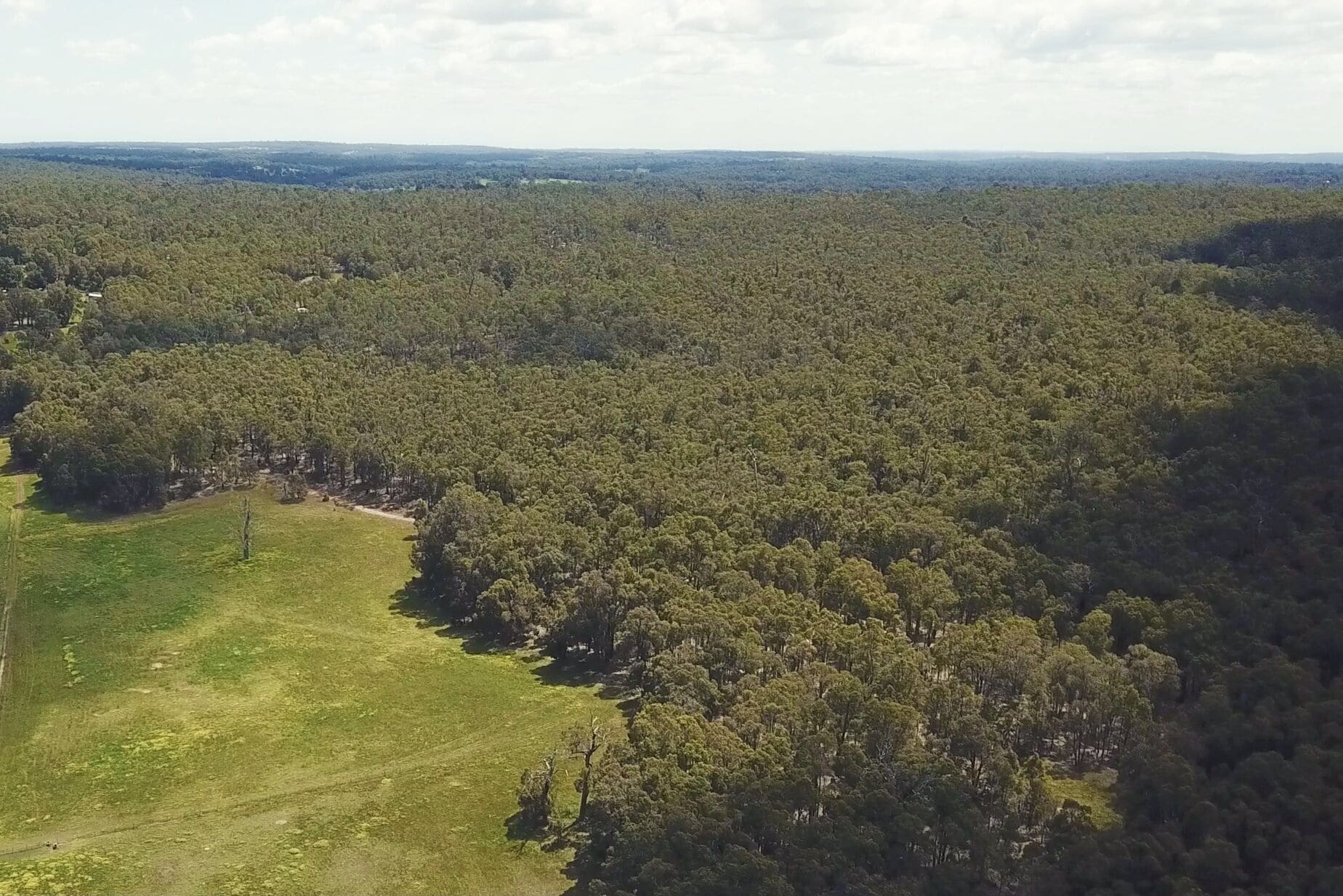 Eversprings Glamping - Eco Retreat - Mirkwood