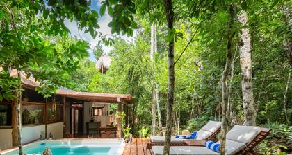 Pepem Eco Hotel Tulum at the Jungle near by from at least 10 Cenotes - Adults Only
