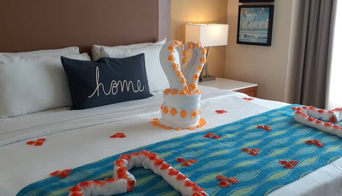 Aruba The Happy Island Divi Resorts At Phoenix Incredible Ocean View 奥拉涅斯塔德 阿鲁巴 21 优惠 点评和图片 Expedia Aruba The Happy Island Divi Resorts At Phoenix Incredible Ocean View 奥拉涅斯塔德 阿鲁巴 21 优惠 点评和图片 Expedia