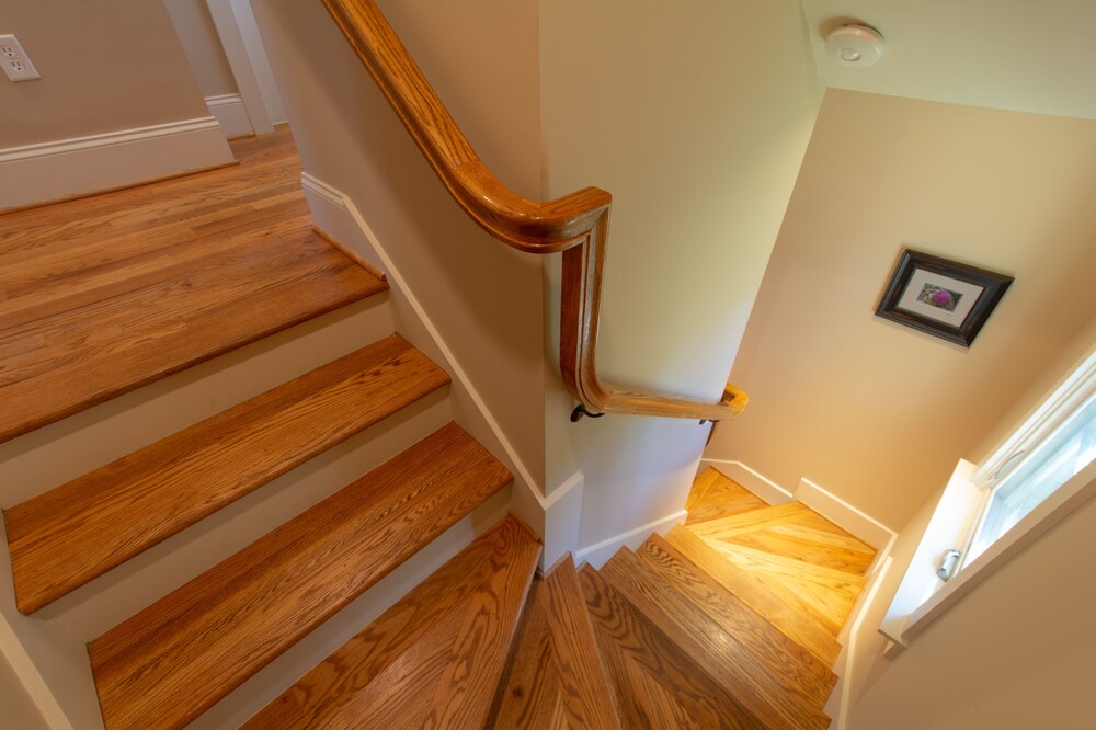 The Roost, treehouse in Cheshire Black Mountain