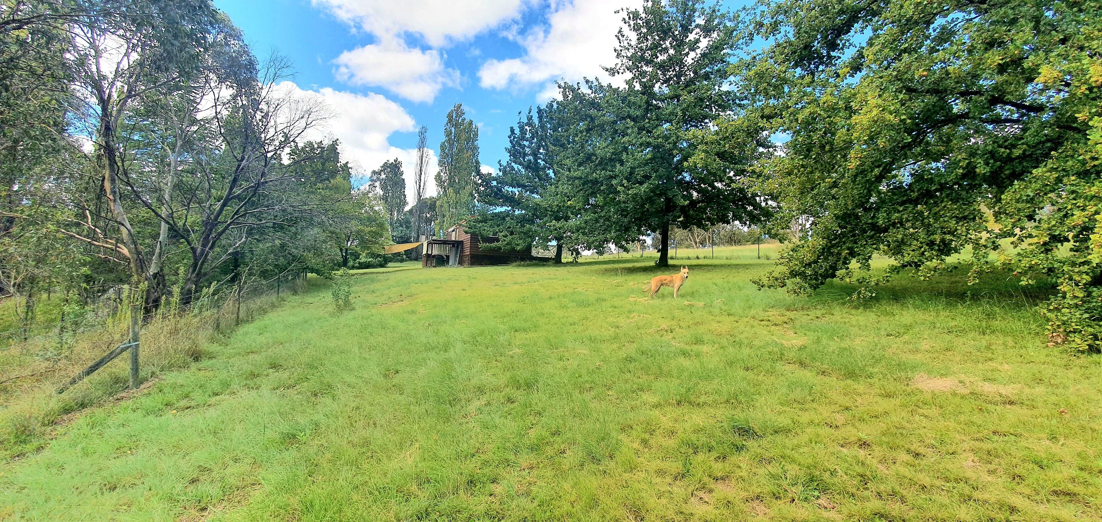 Quaint Cottage Private Retreat