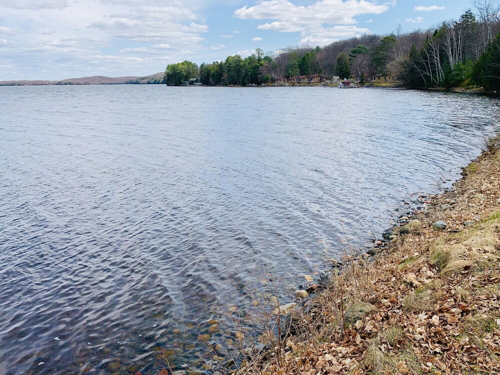 Lac Vieux Desert South Shore Cottage, Phelps Room Prices & Reviews