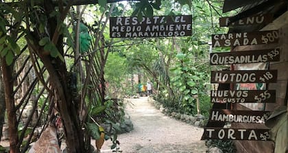 Ecoturismo Yax-ha By Rotamundos