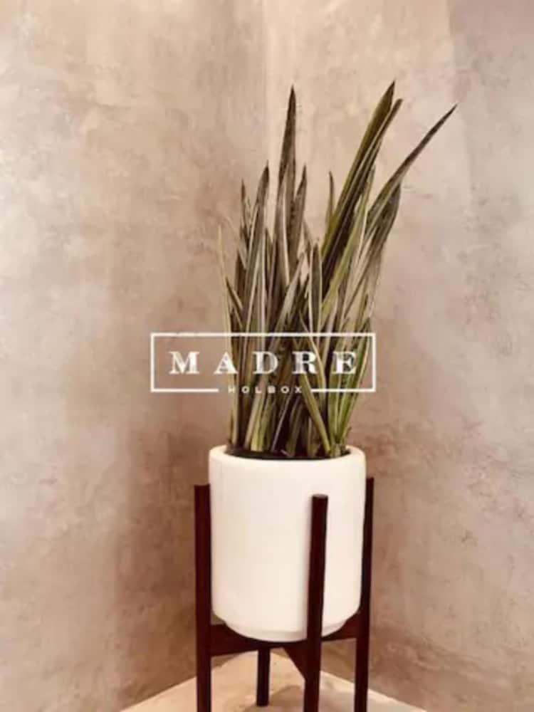 MADRE Holbox Apartments & Suites