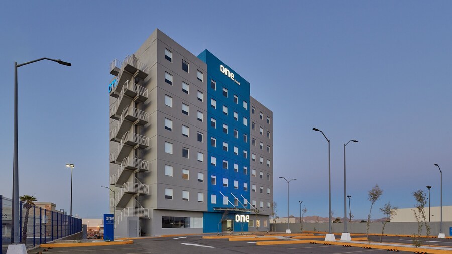 One Chihuahua Norte
