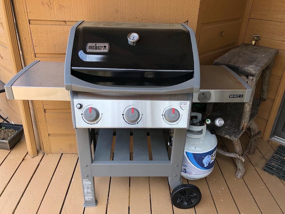 Lakeside Mountain Condo w/ Awesome View & Resort Amenities