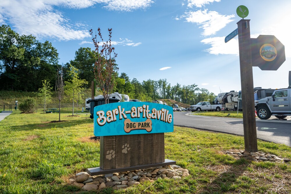 The Lodge at Camp Margaritaville AU199 Deals & Reviews (Pigeon