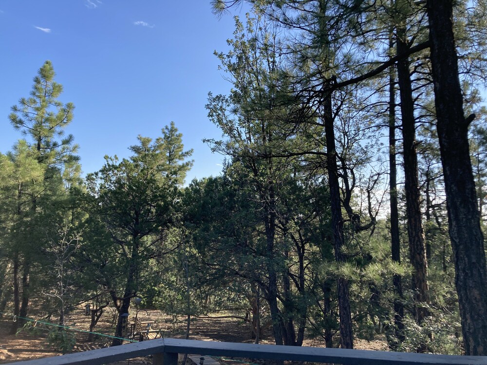 Private cabin amongst the Pines & Wildlife, close to lakes and town