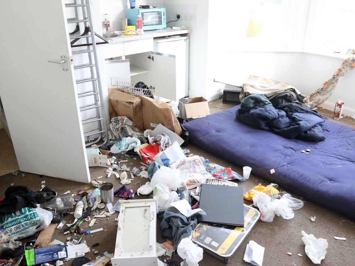Rats Nest in Toyah in Fort Stockton, United States