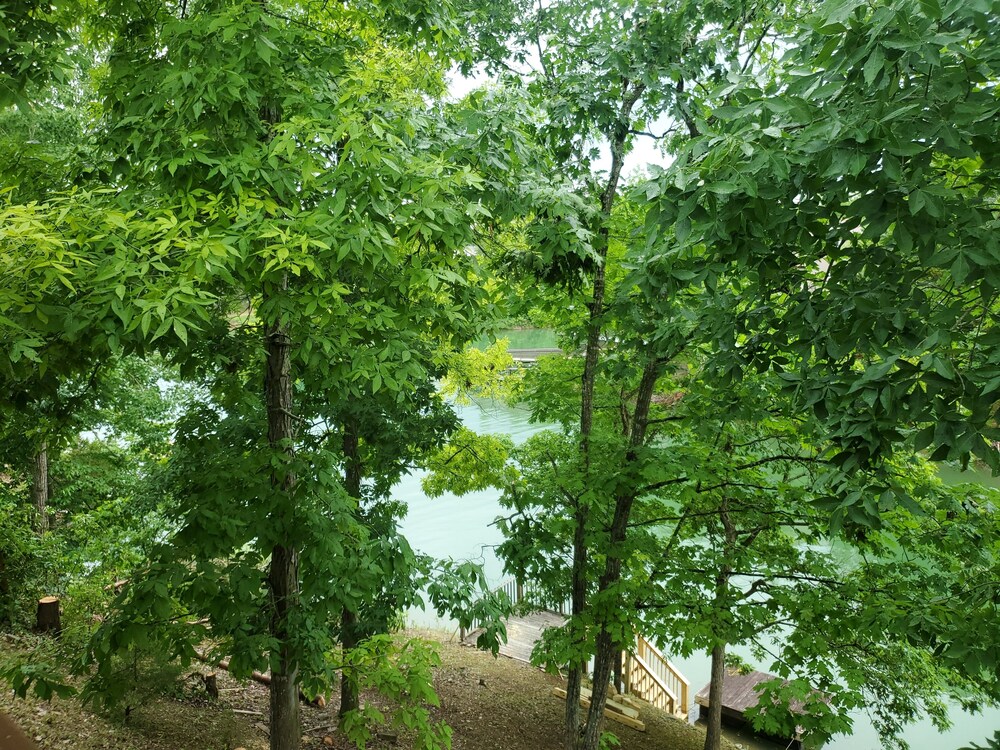 Perfect Spot - Lakefront property on Lake Douglas but 25 minutes to Pigeon Forge