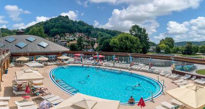 Stunning Apartment in Krapinske Toplice With 1 Bedrooms and Wifi