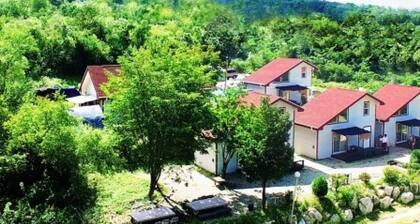 Yanggu Always Sol Pension