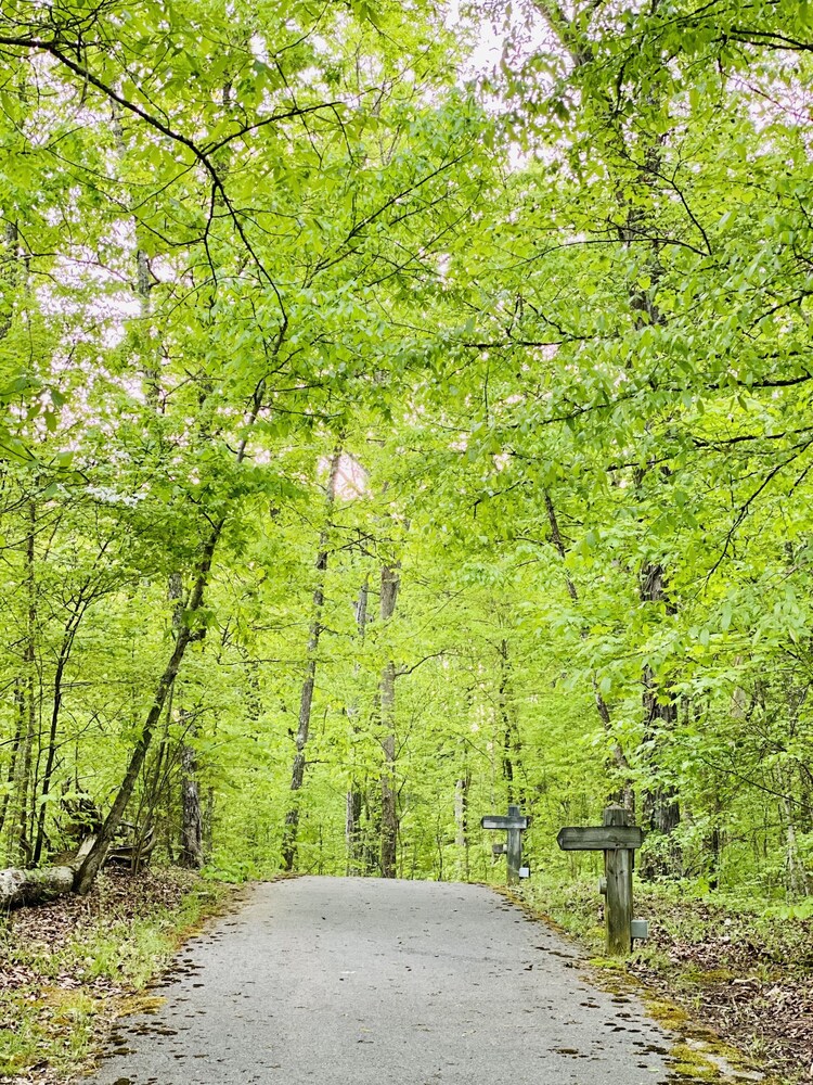 Cozy Bear Cabin 3/3 near Gatlinburg & Smoky Mtns