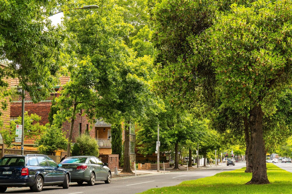 Modern East Melbourne Deals & Reviews (Melbourne, AUS