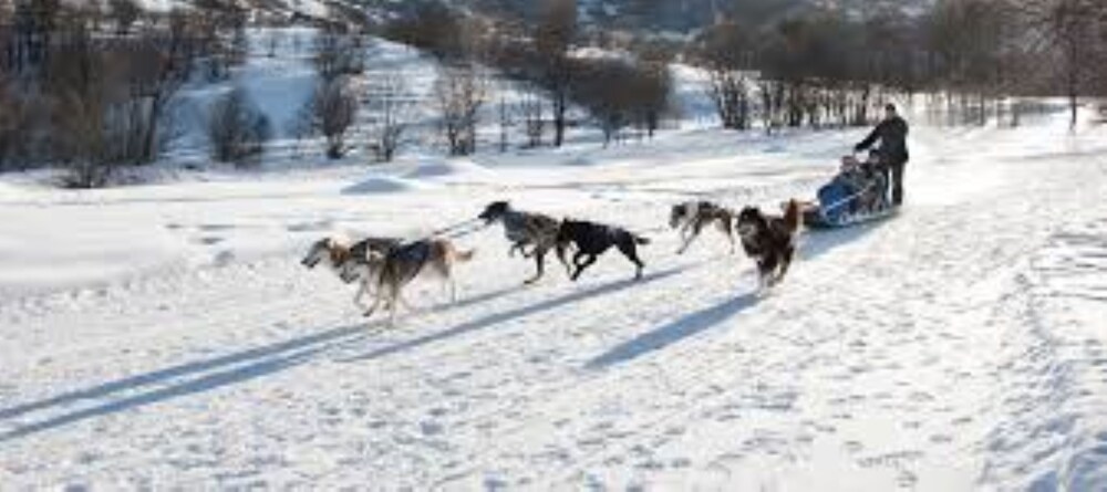 Résidence Lac du Lou - Les Ménuires