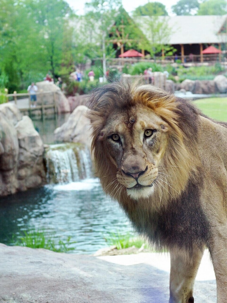 Comfortably sleeps 7, 3 bedroom 2 FULL bath newly updated home, with lower level