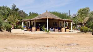 Ubicación a pie de playa, tumbonas, sombrillas y toallas de playa