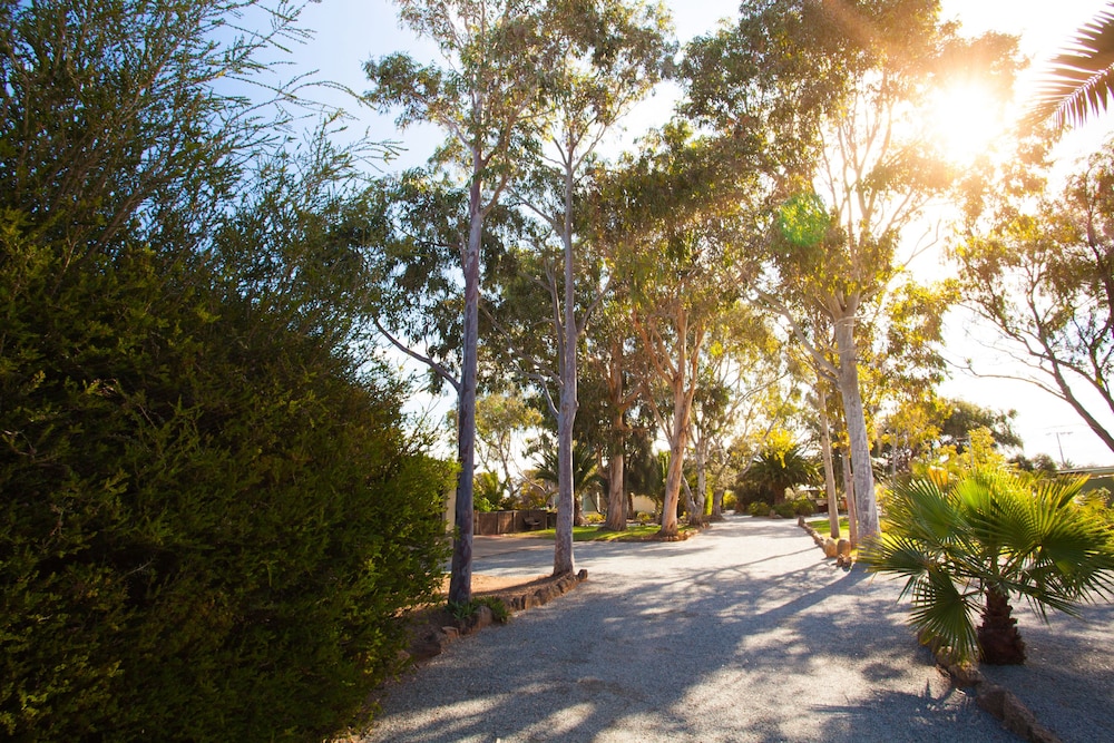 Property grounds, Modra's Apartments