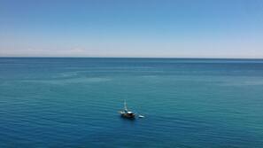 Beach nearby, free beach shuttle
